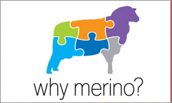 Why Merino