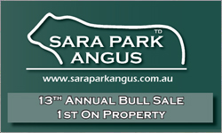 Sara Park Angus