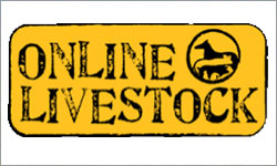 Online Livestock