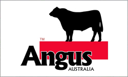 2016 Angus National Conference