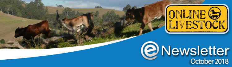 Online Livestock - Newsletter